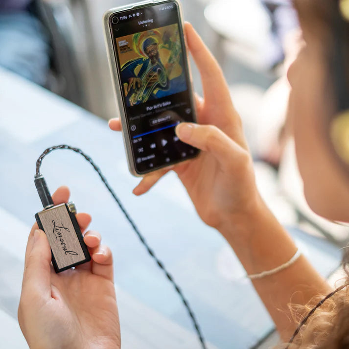 定番大人気iFi-Audio Go Blu　Bluetooth対応DACアンプ ヘッドフォンアンプ