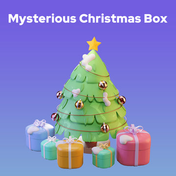 Mysterious Christmas Box